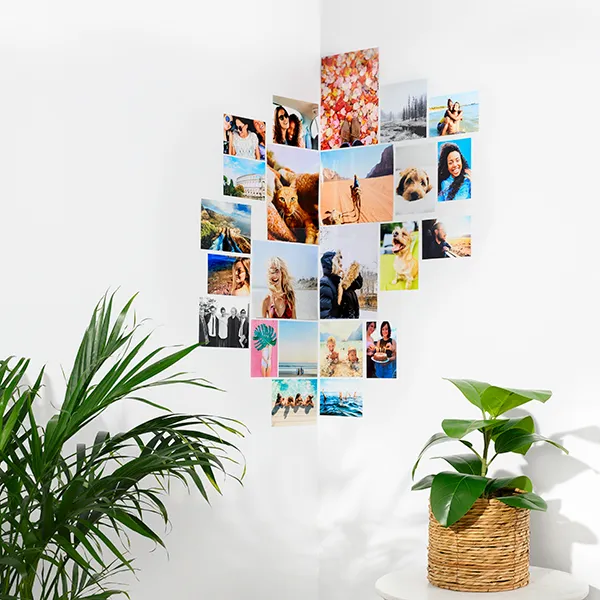 Stwórz doskonałą galerię fotograficzną z KODAK MOMENTS.